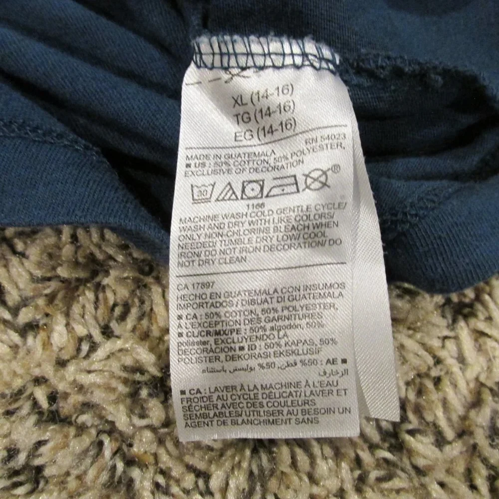 Old‎ Navy Dinosaur Pullover T Shirt Youth Boys Size XL 14-16 Blue Short Sleeve
